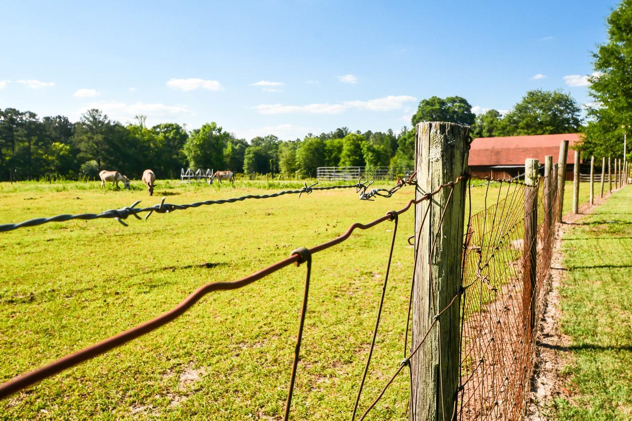Dublin Farm Bed & Breakfast Dış mekan fotoğraf