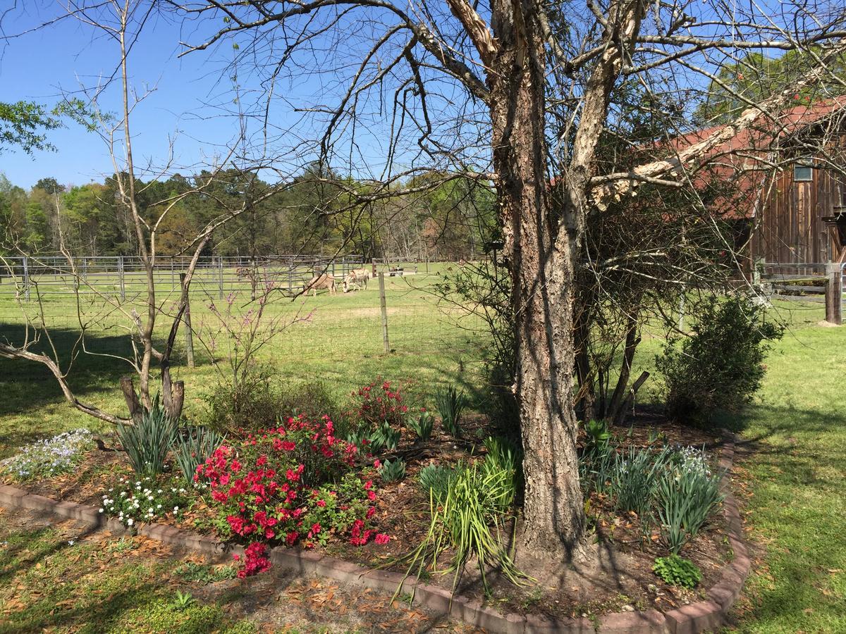Dublin Farm Bed & Breakfast Dış mekan fotoğraf